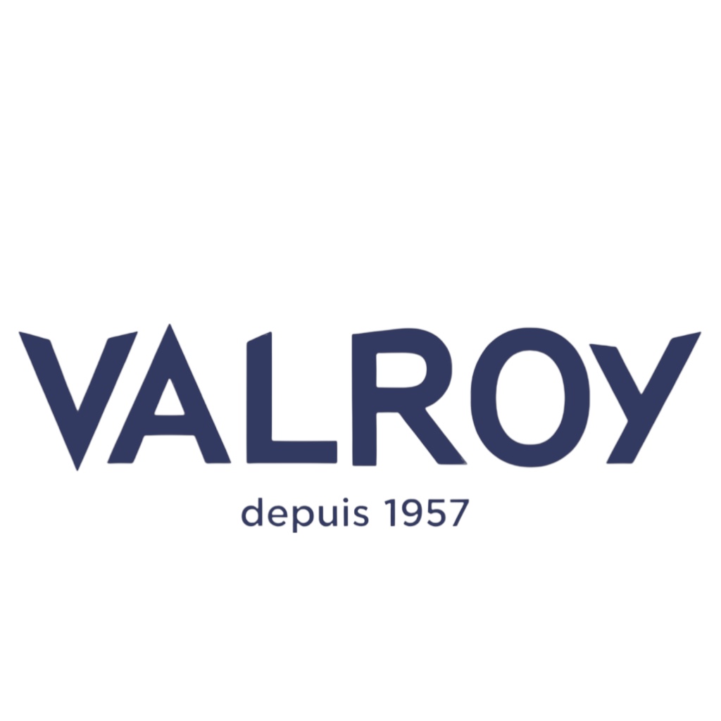 Valroy Logo