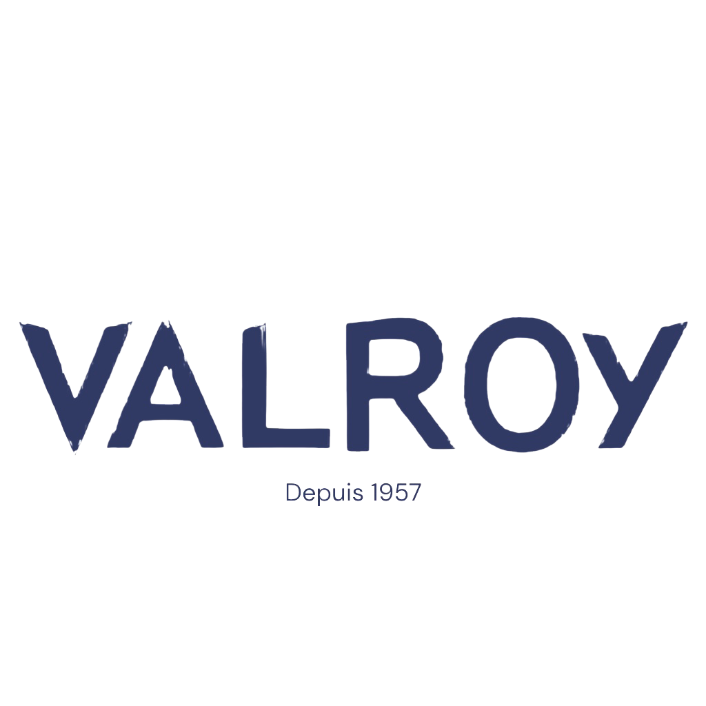 Valroy Logo